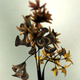 Illustration for article titled These Beautifully Realistic Flowers Are Actually Pure Code